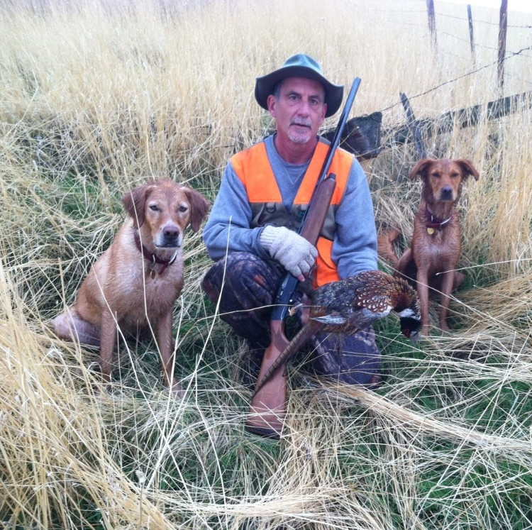 Roger displaying pheasant with his two dogs